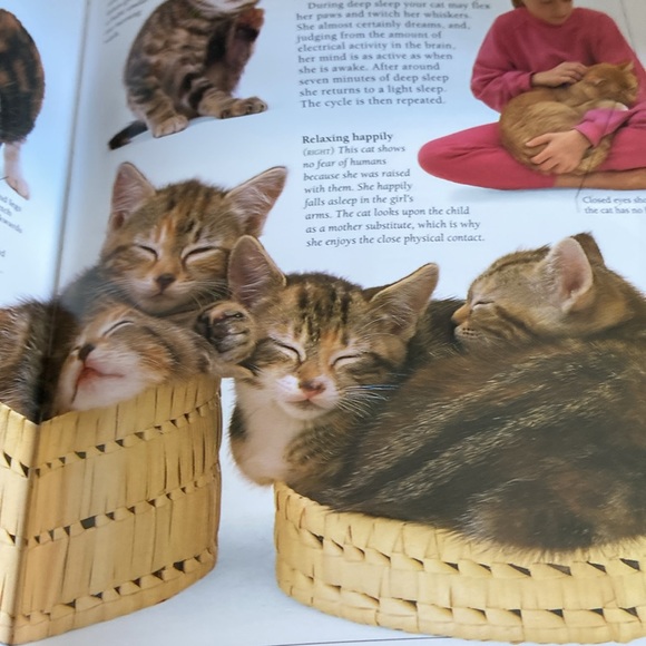 Know Your Cat by Bruce Fogle DVM great pictures & greater information - Picture 12 of 12